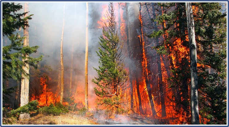 This image has an empty alt attribute; its file name is image-38.png This image has an empty alt attribute; its file name is image-38.png