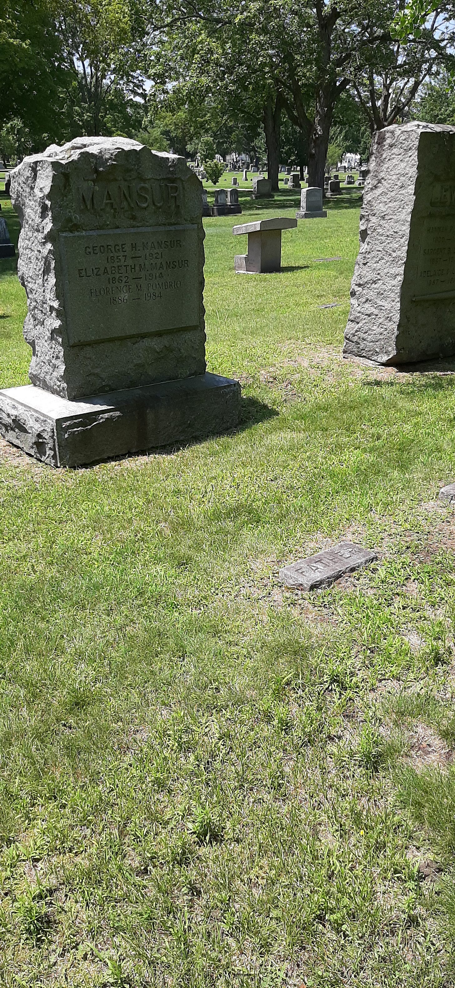 Photo of the area where Nelli Mansur was buried taken by John and Deborah Carl.