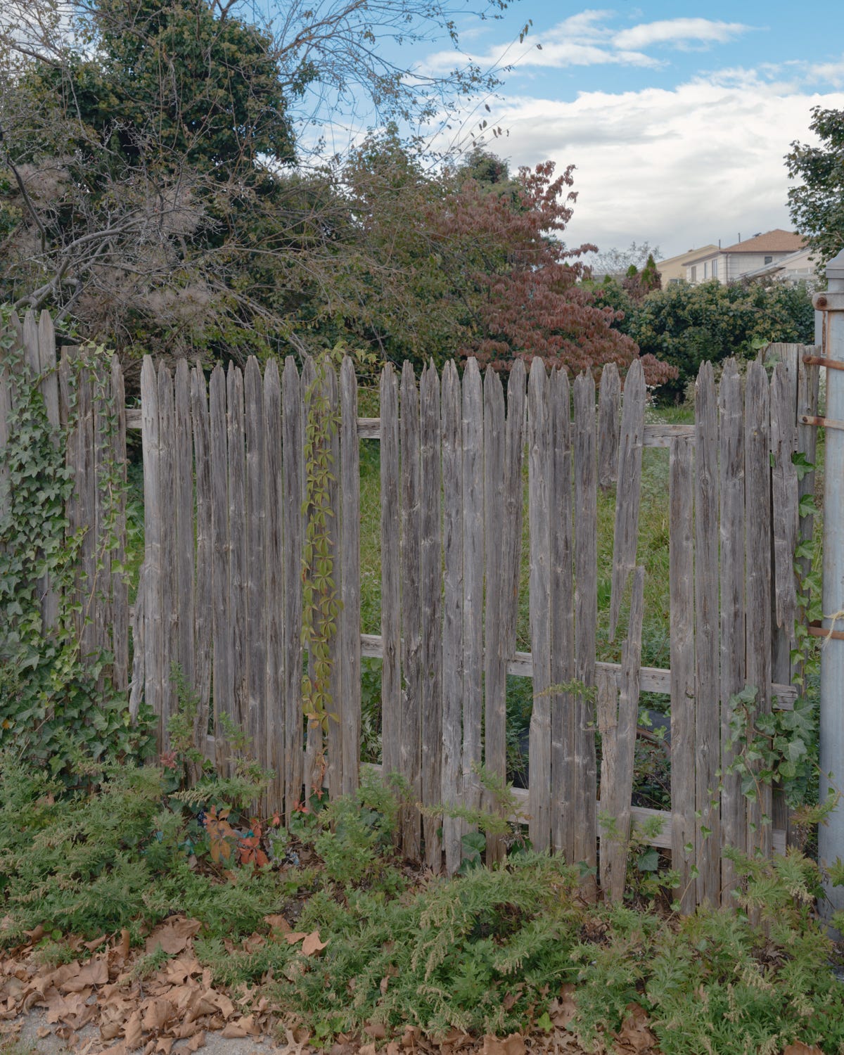 Broken fence