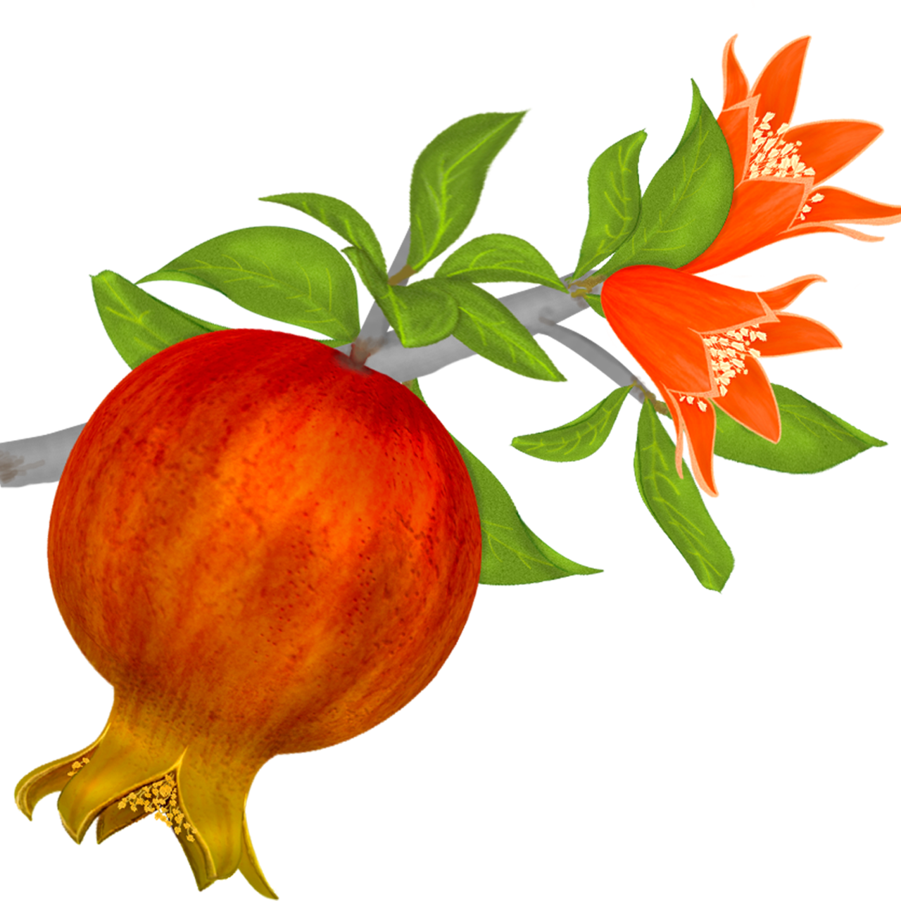 Persephone's Stories