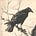 J. Claypool's avatar