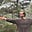 David Alder's avatar
