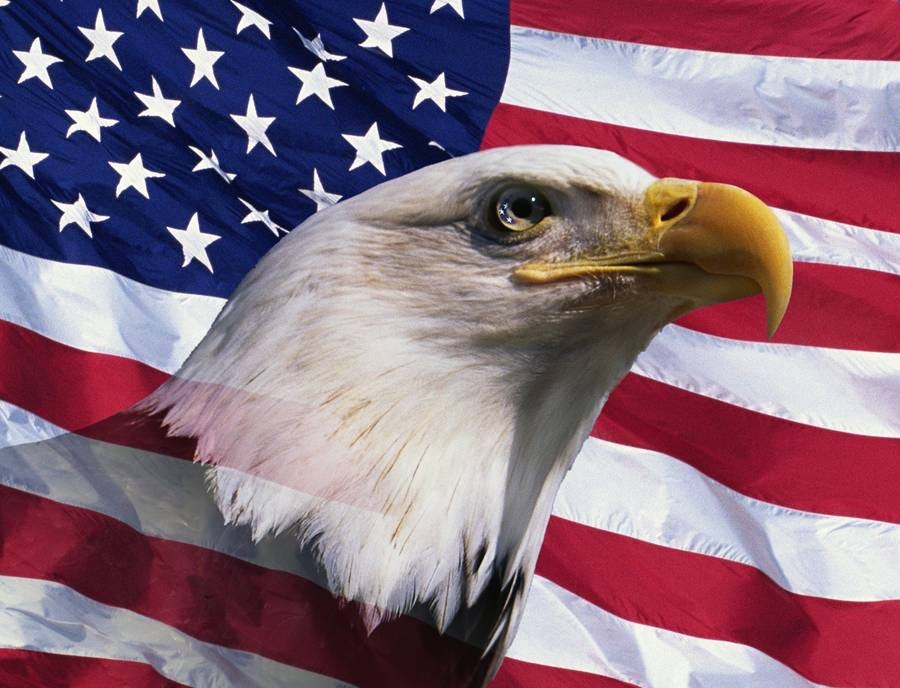 A bald eagle in front of a flag

AI-generated content may be incorrect.