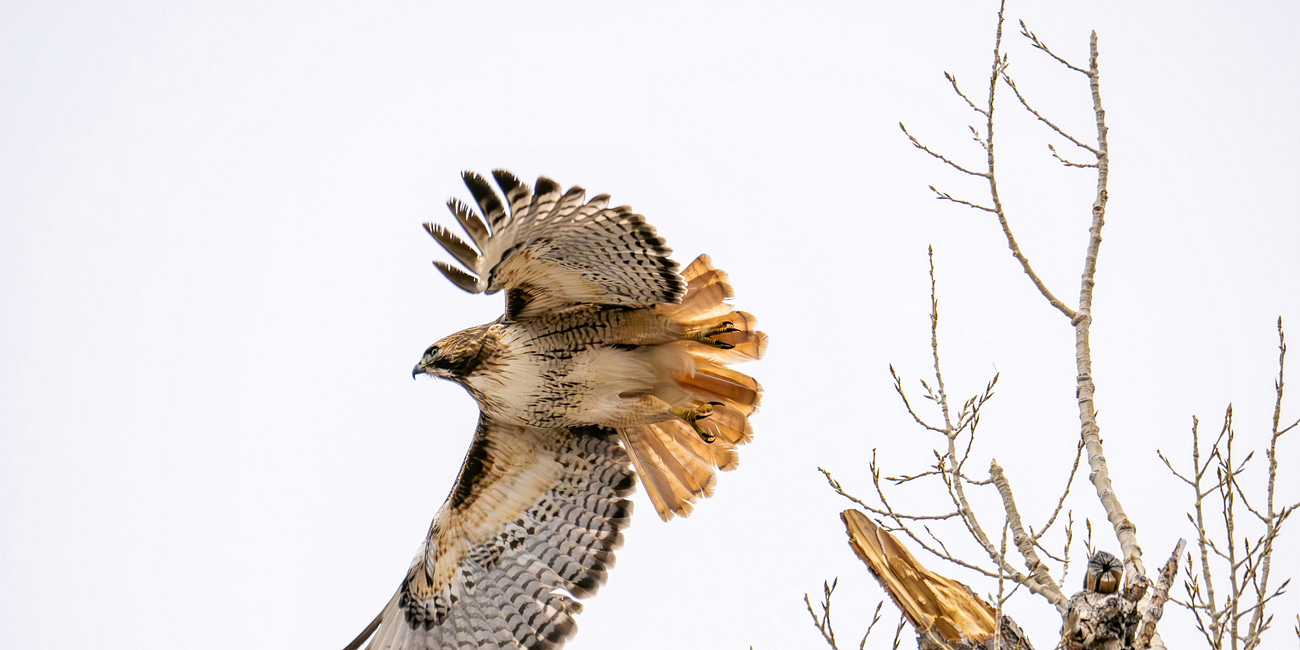 Seeing the reality of the tragedy in Minnesota