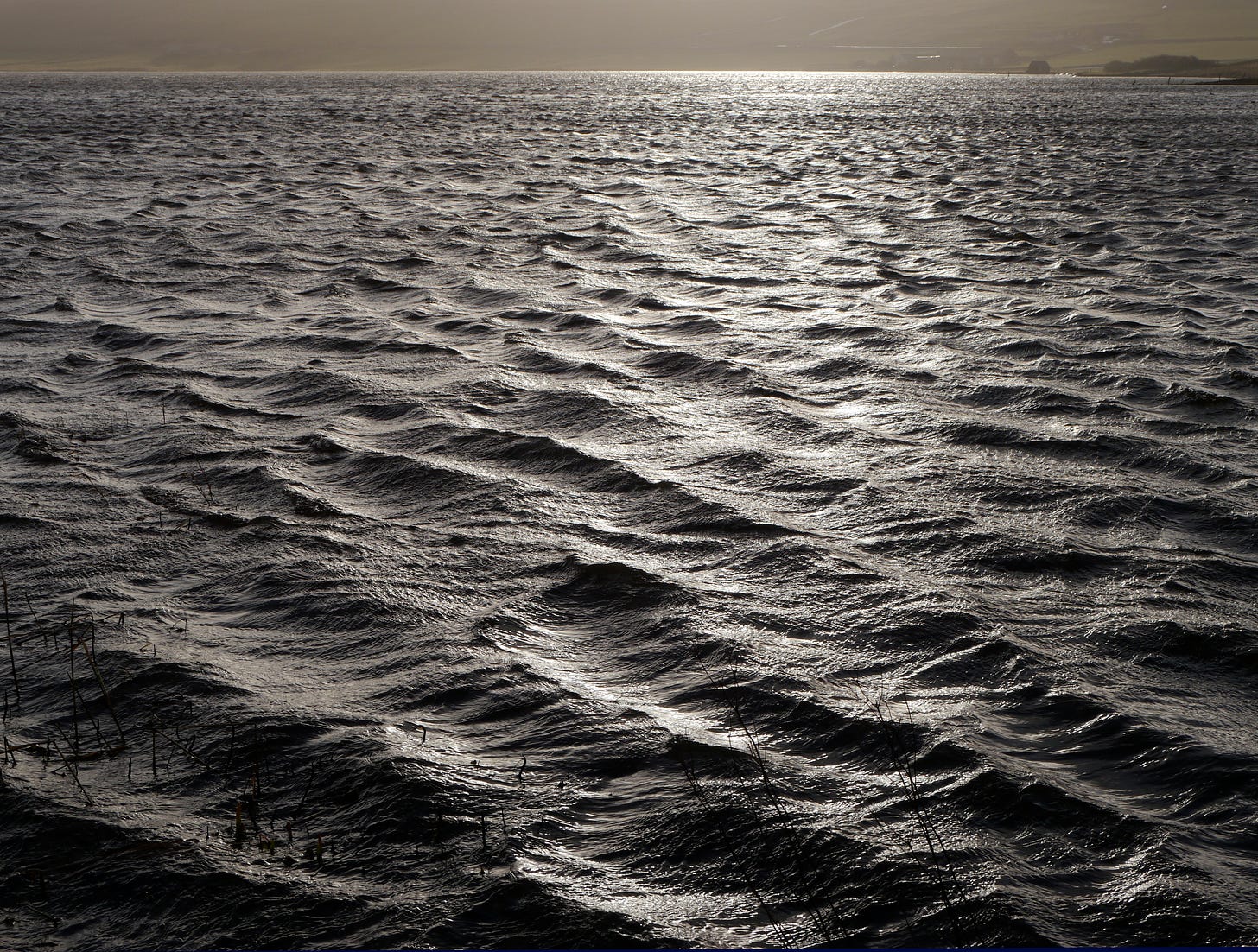 Small, wind whipped waves glinting in wintry light