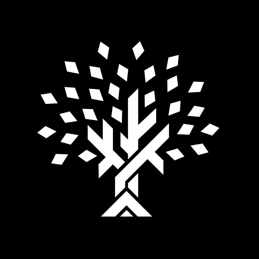 Artwork for Titanium Birch Newsletter