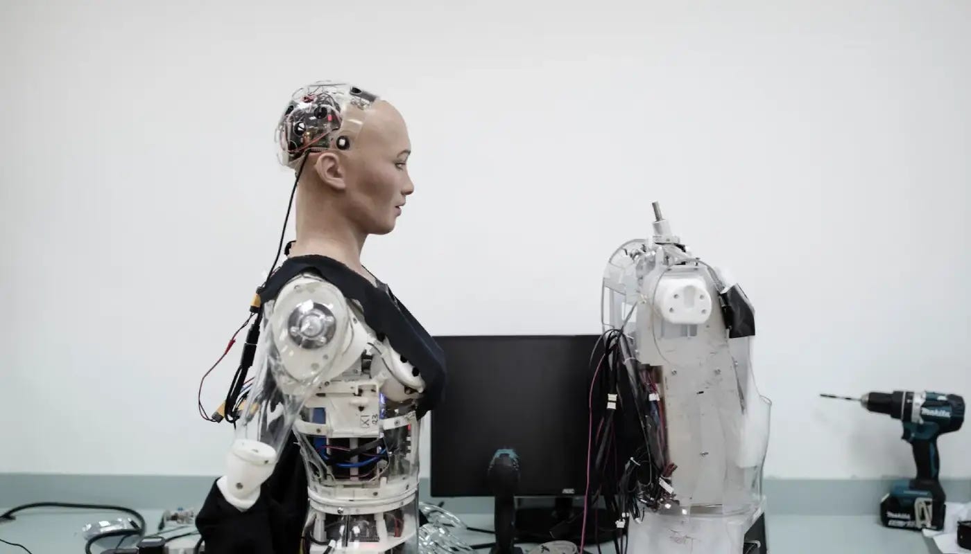 Robot en mantenimiento.