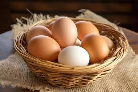 Eggs, what's going on?