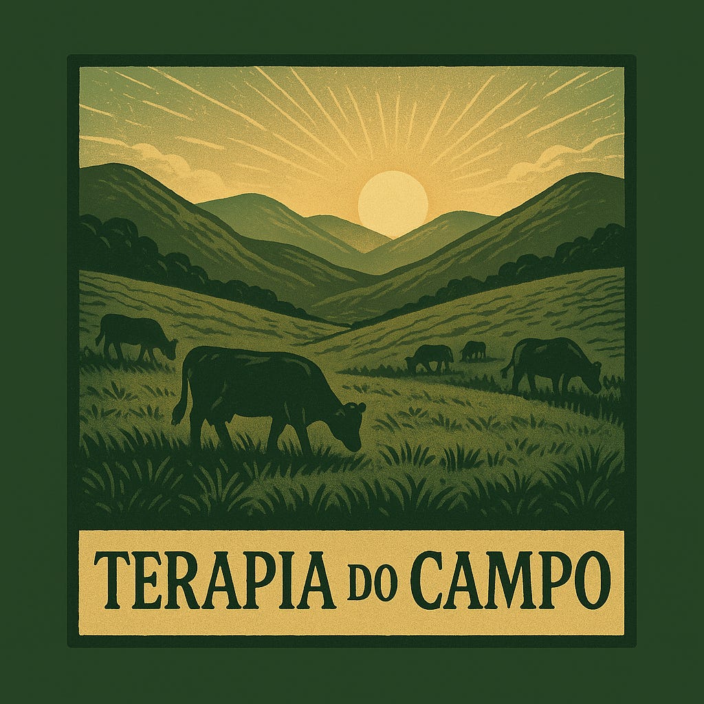 Terapia do Campo