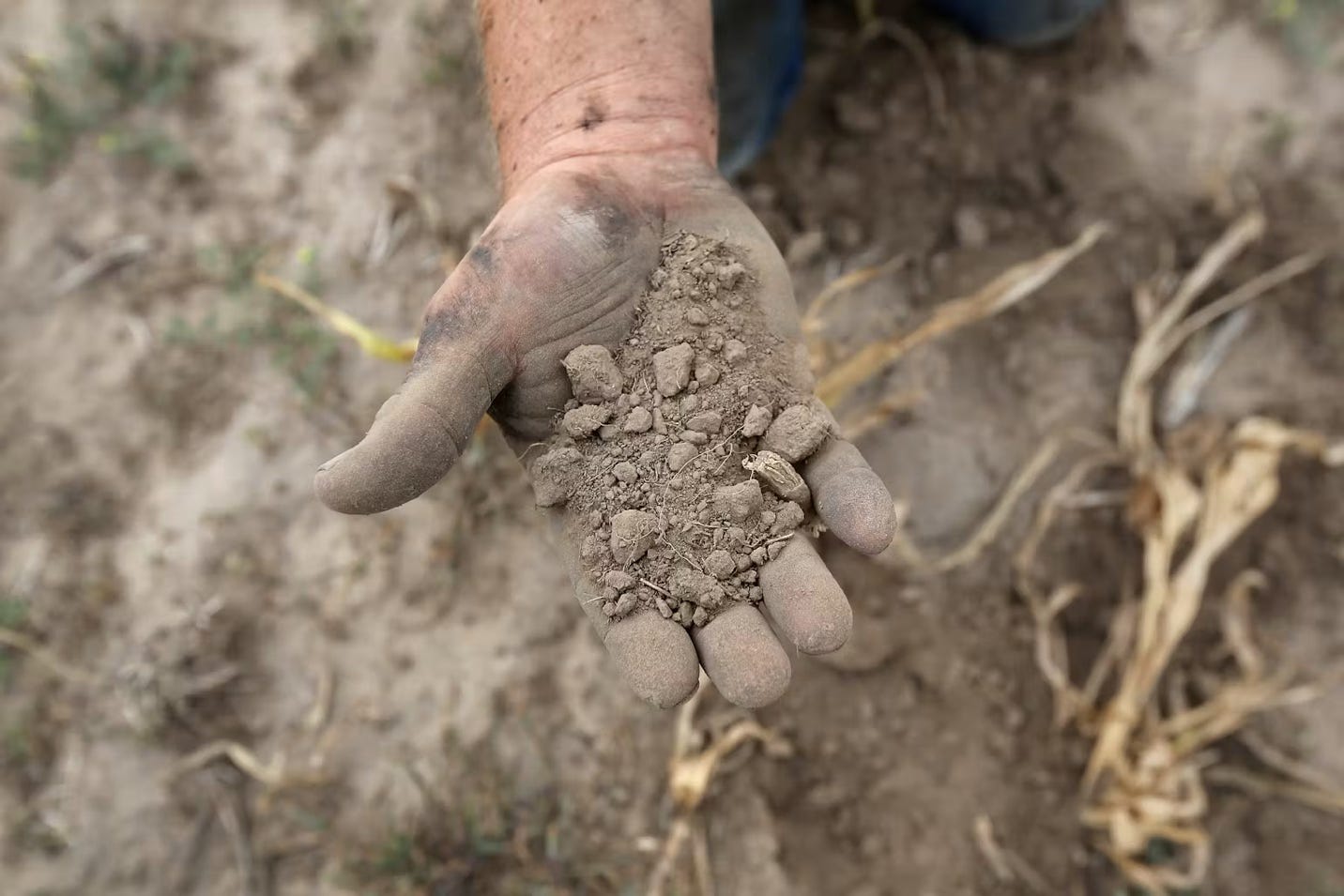 Farmers face a soaring risk of flash droughts in every major food-growing  region in coming decades, new research shows