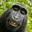 Georgia O'Chimp's avatar