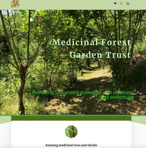 Screenshots of websites for Medicinal Forest Garden Trust and Medicinal Tree Woman Substack