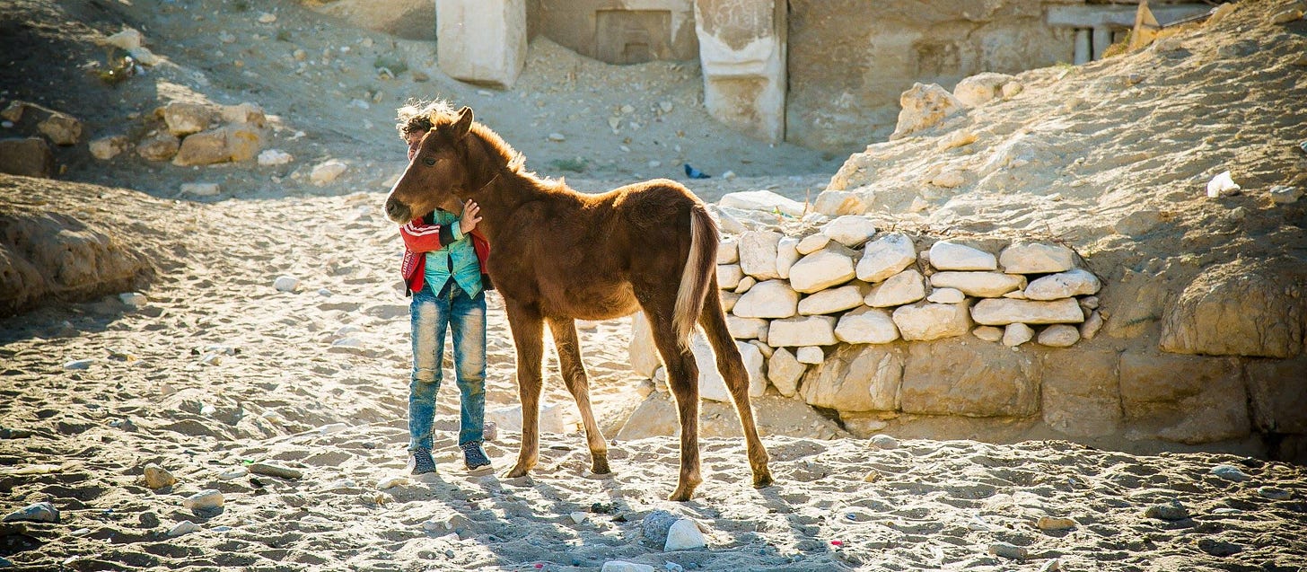 No photo description available.