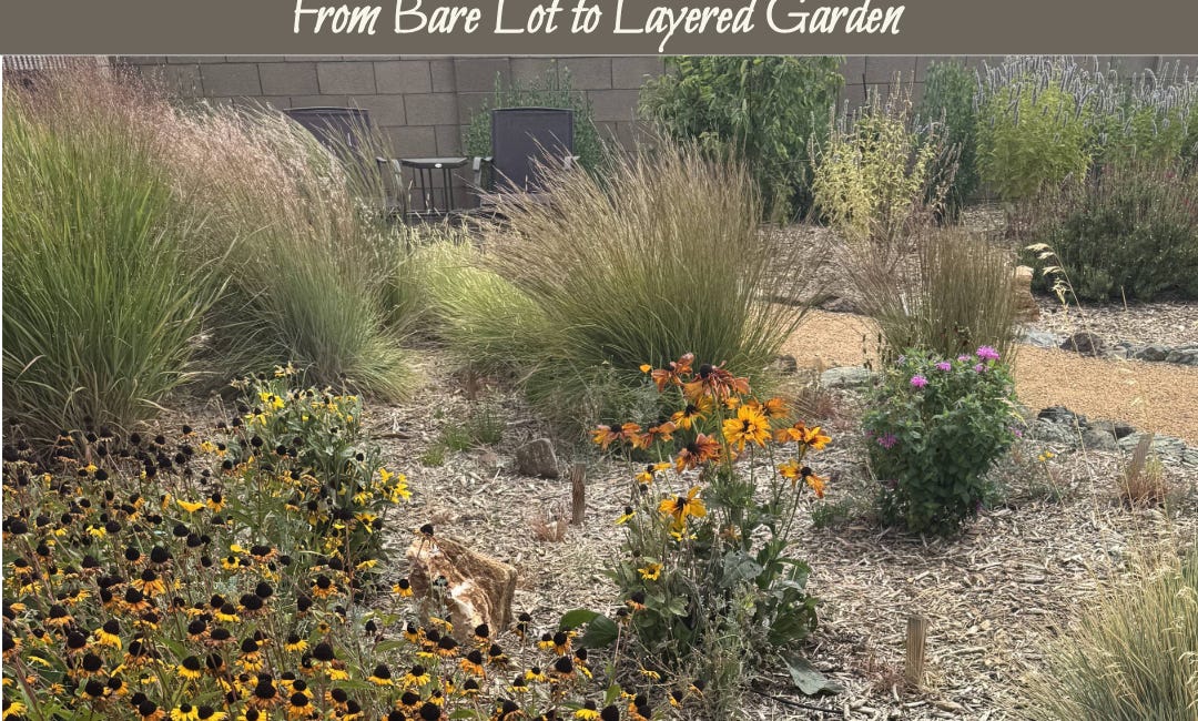 A Meadow Landscape: Curated Botanical Guide