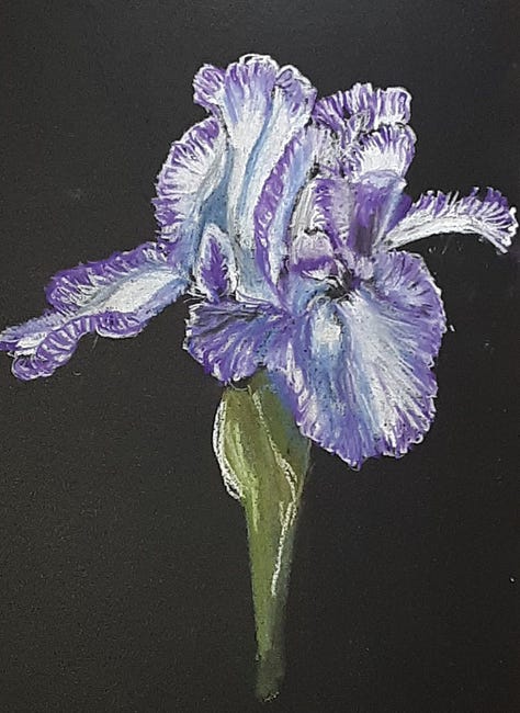 L-r, a white iris with purple stripes, a purple iris, a close up of a white iris looking down inside