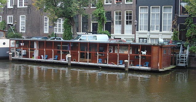 Floating Cat Sanctuary Floating Cat Sanctuary