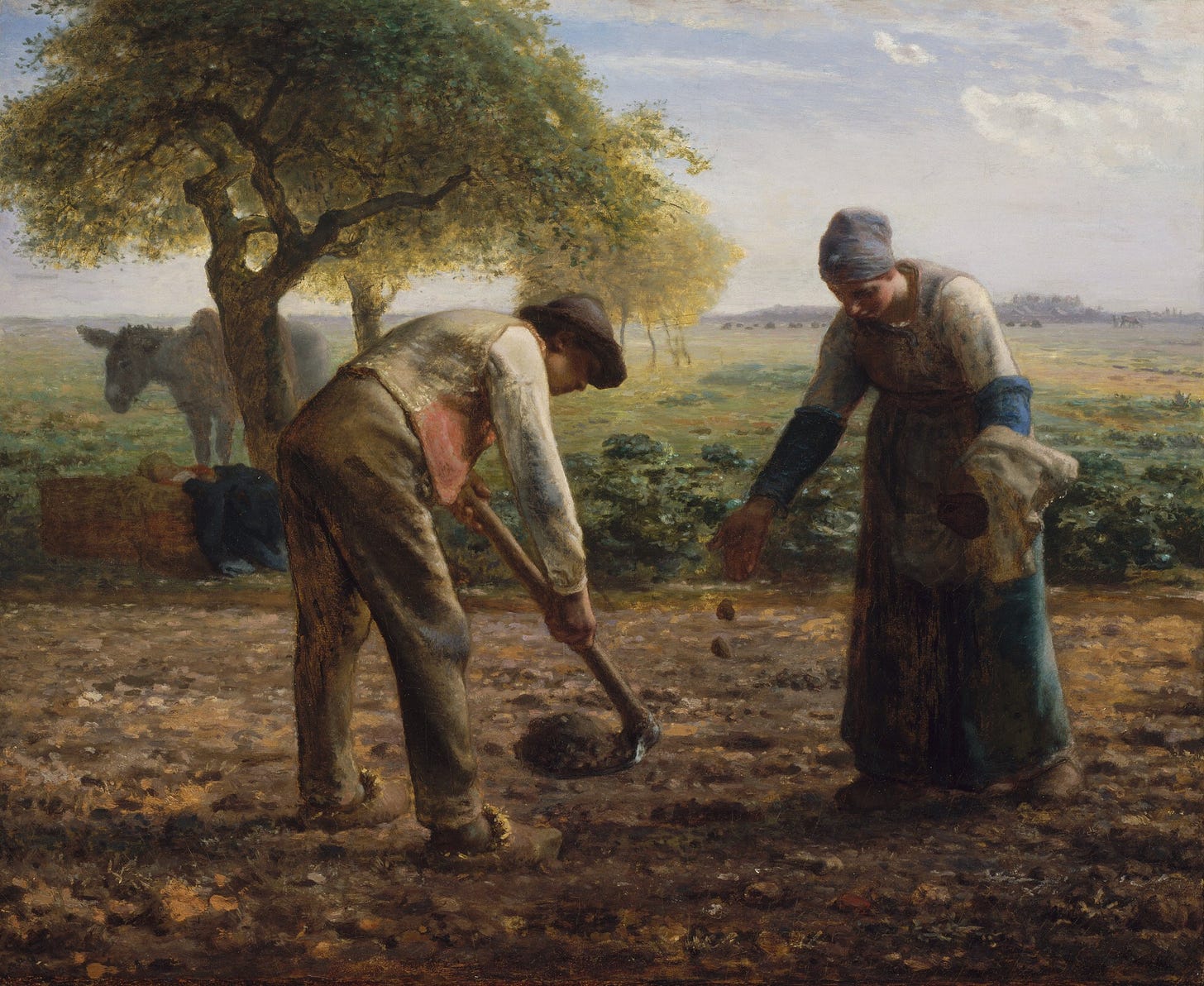 Understanding Society: Marx on peasant consciousness