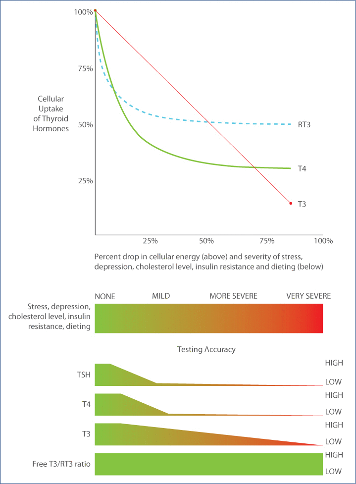 Why TSH testing is inaccurate and free T3/RT3 ratio is the best marker for thyroid transport.