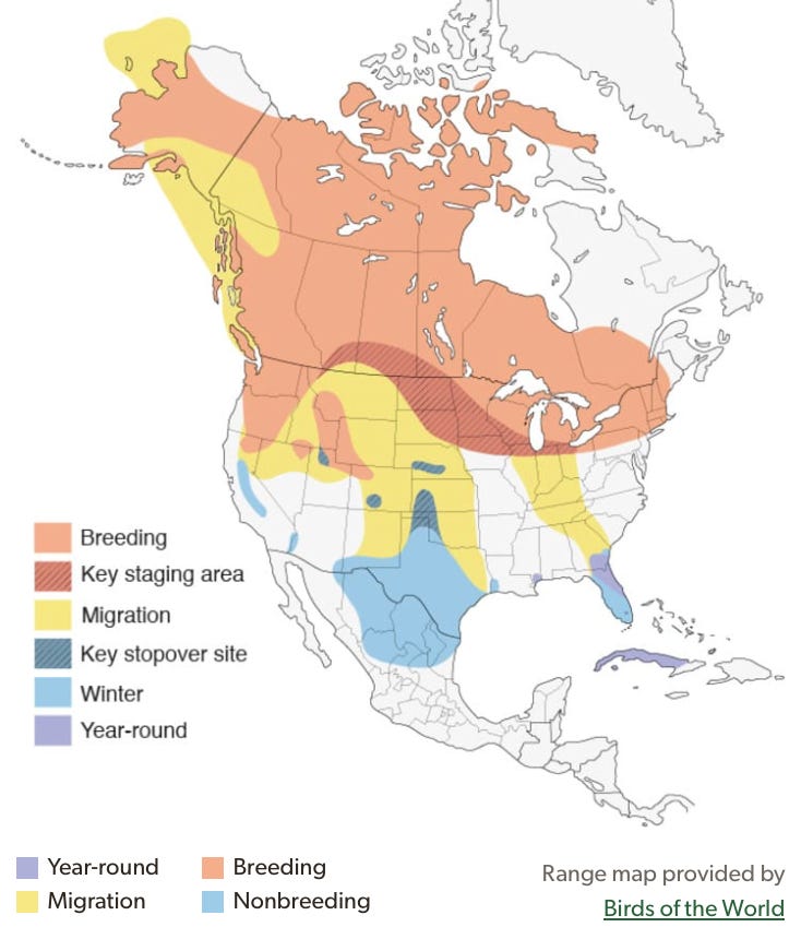 Screenshot 2025-02-10 at 3.07.09 PM.png Screenshot 2025-02-10 at 3.07.09 PM.png