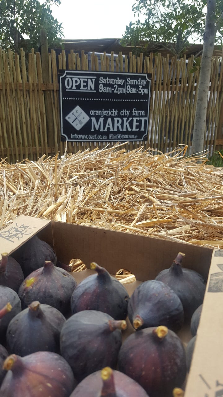 Oranjezicht city farm market, Cape Town, figs, oysters, winter squash, passion fruit ice cream.