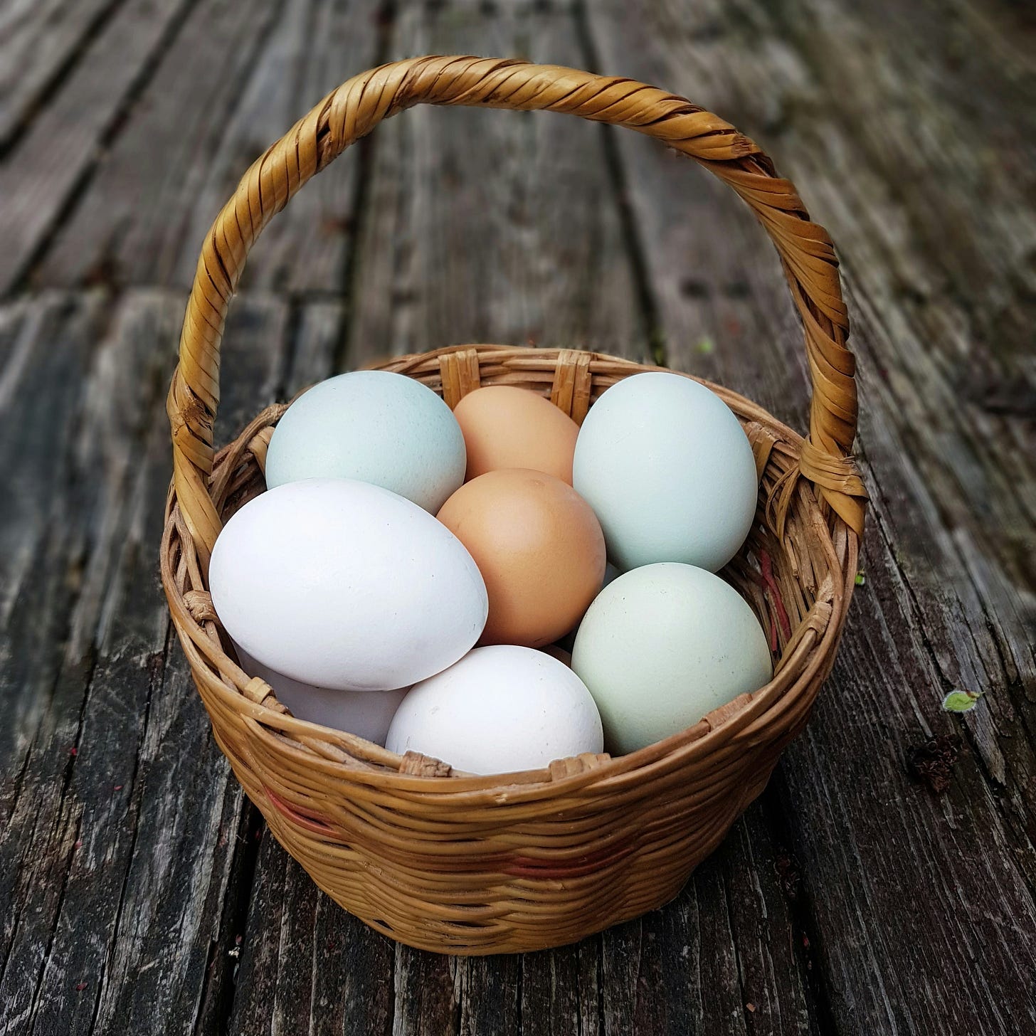a basket of eggs