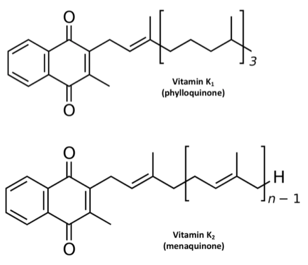 The Structures of Vitamin K1(Phylloquinone) and VitamiN K2 (Menaquinone)