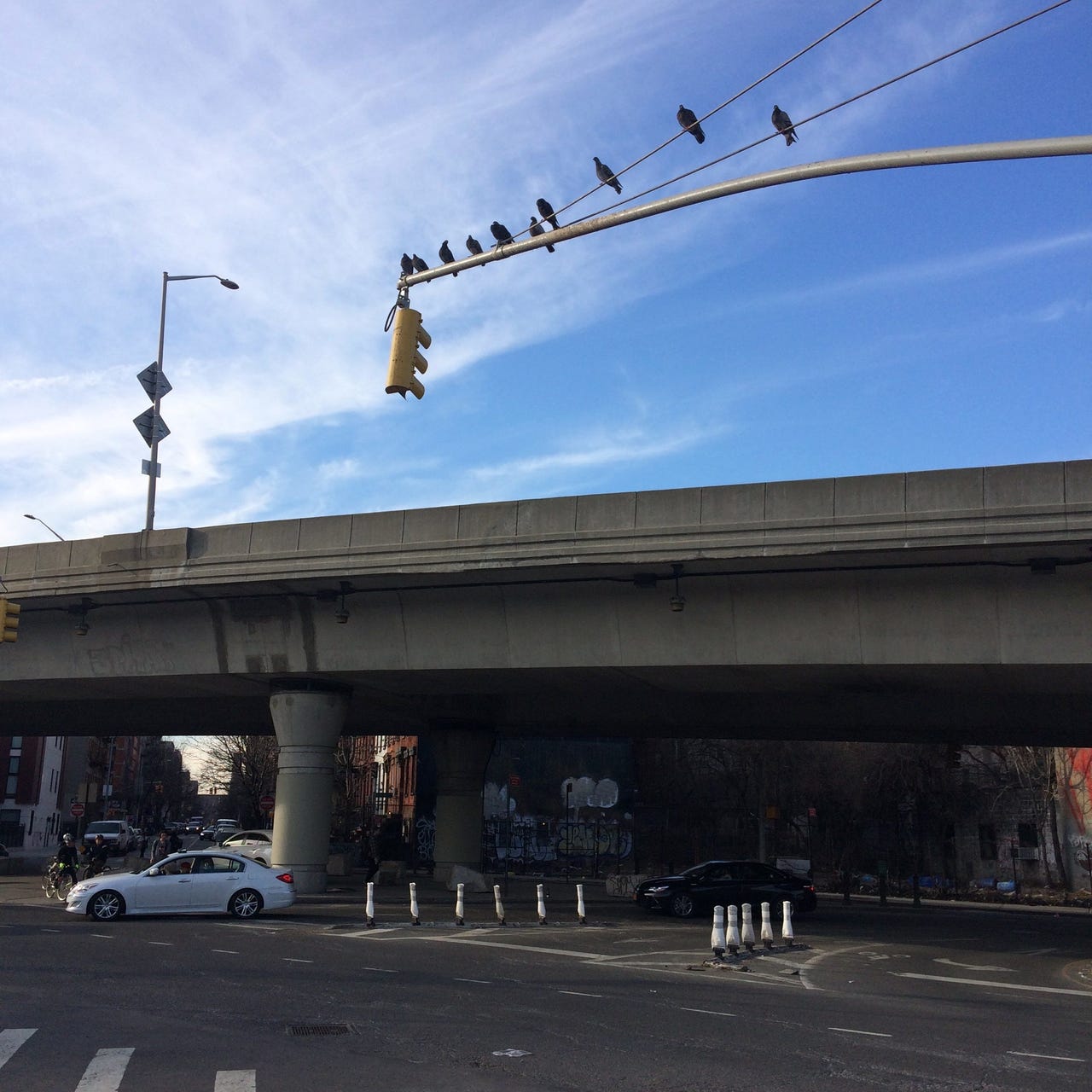 Thomas’s Newsletter