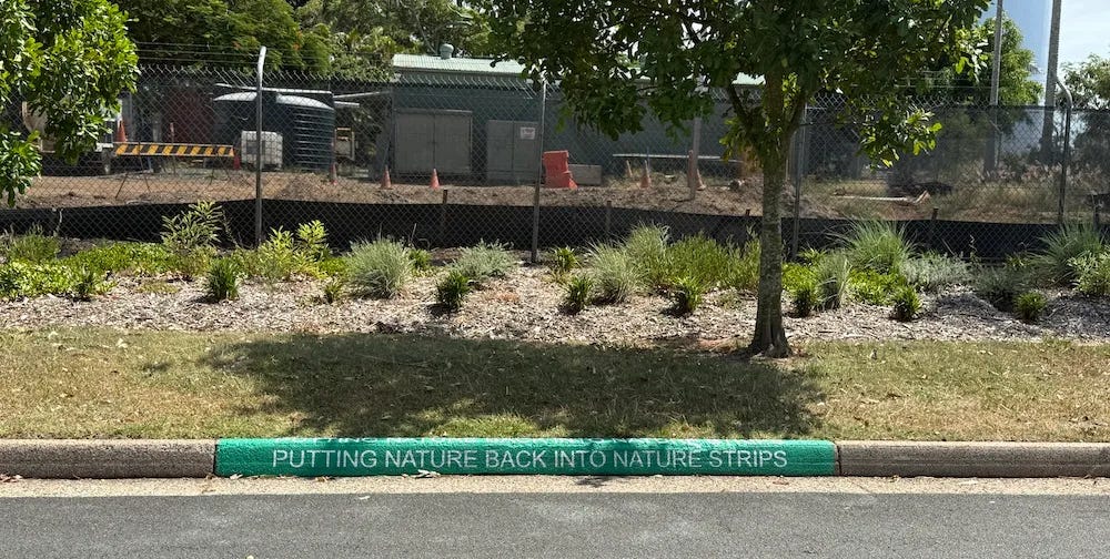 photo of the Margate verge garden