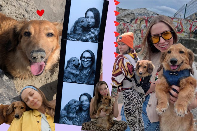 I love my dog so much I can't stop anticipating his death 