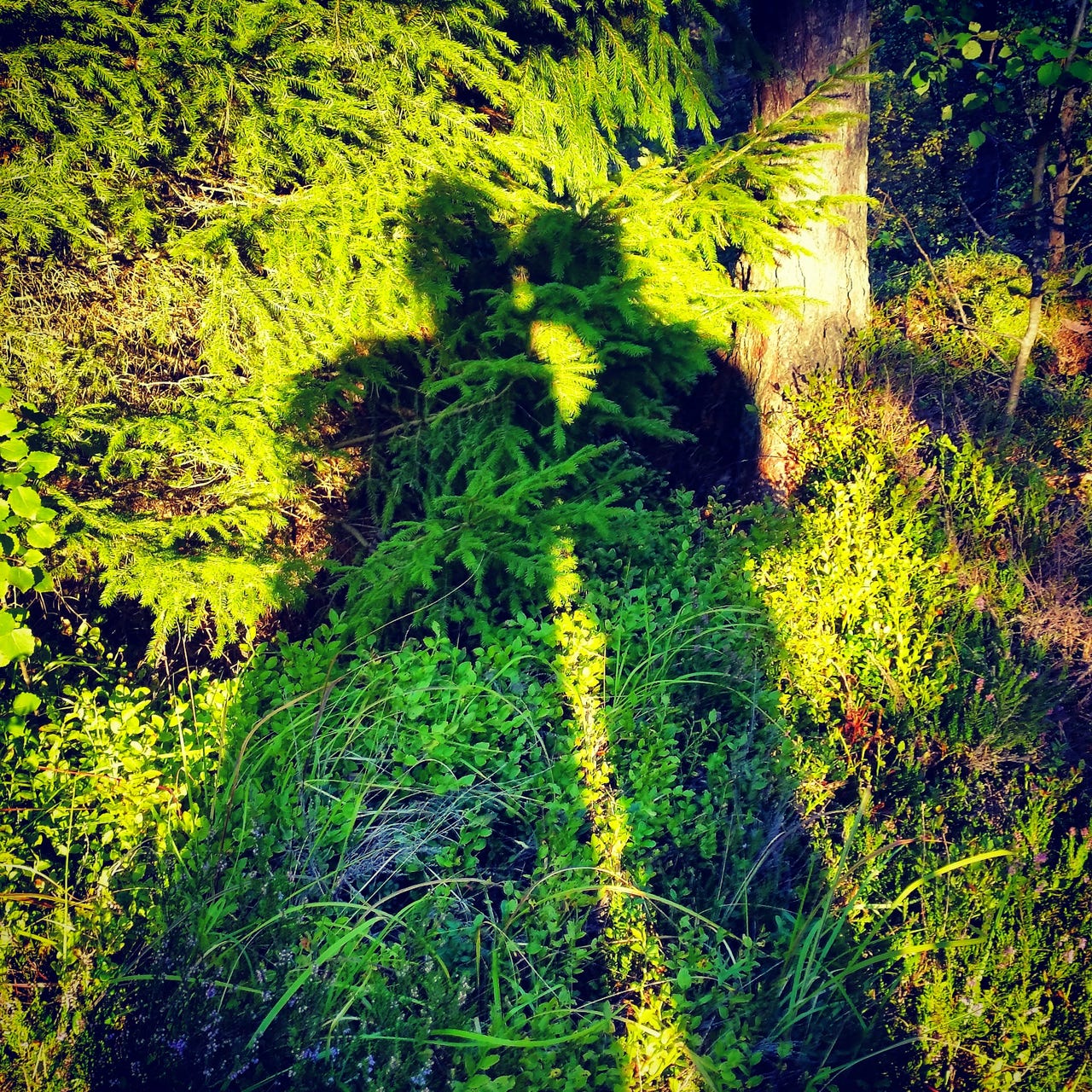 Medicine of the Soul