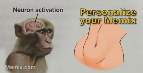 Monkey Neuron Activation Meme, GIF - Share with Memix