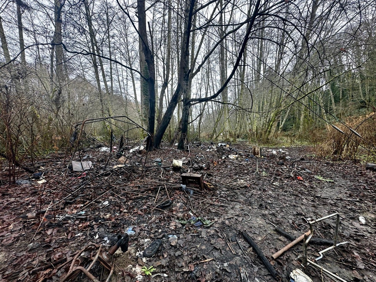 A forest with debris and trees

Description automatically generated with medium confidence