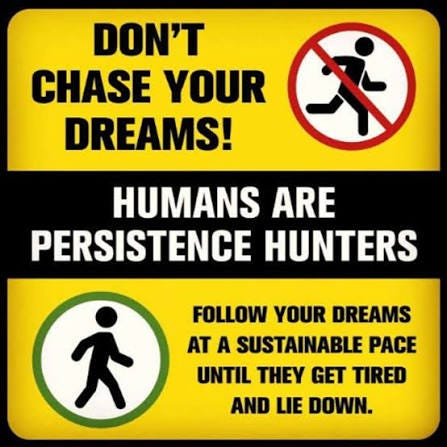 What dreams are you persistence hunting? Also, kudos, to whoever wrote  this. Genius.😍