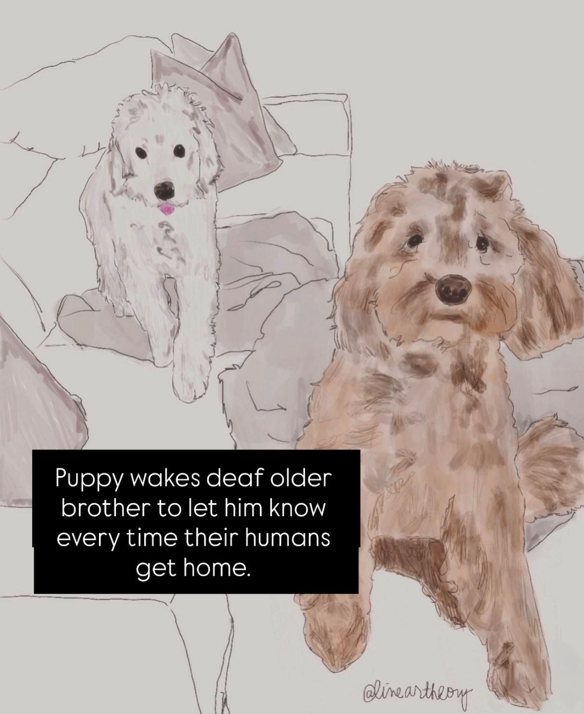 qotd, rumi, sahil bloom, jay shetty, on purpose, feel better, inspirational quotes, book recs, best books, goodreads, humor, iamthirtyaf, illustrations, mental wellness, friends, positivity, confidence, nice news, art, line drawings, linear theory, inspirational quotes, new yorker, poetry sciencefiction, universe, space, dogs, dogsofinstagram, petlovers, pets, best friends, siblings