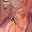 Arianne's avatar