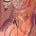 Arianne's avatar