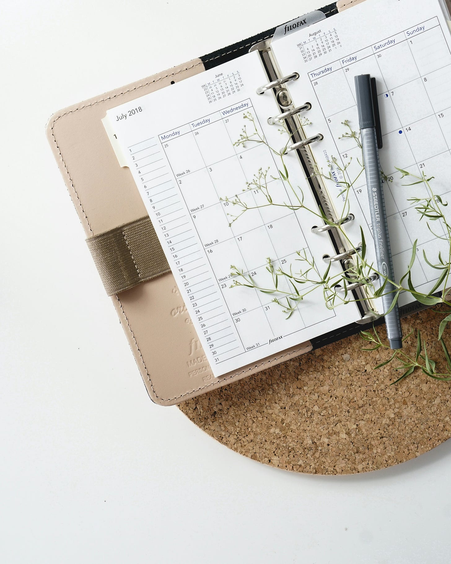 A day planner with a green branch and a pen on top of it