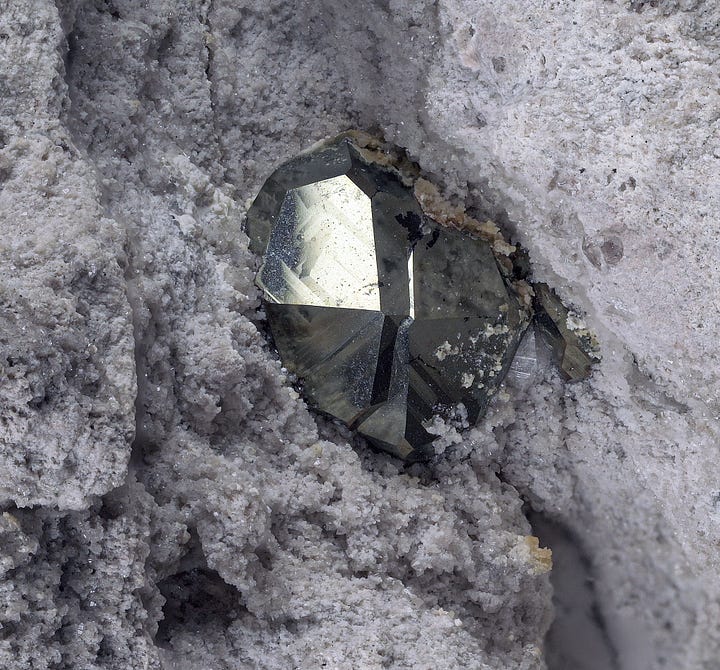 Something Chose This Garnet - by Aaron Celestian, PhD