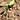 Chris Cudia's avatar