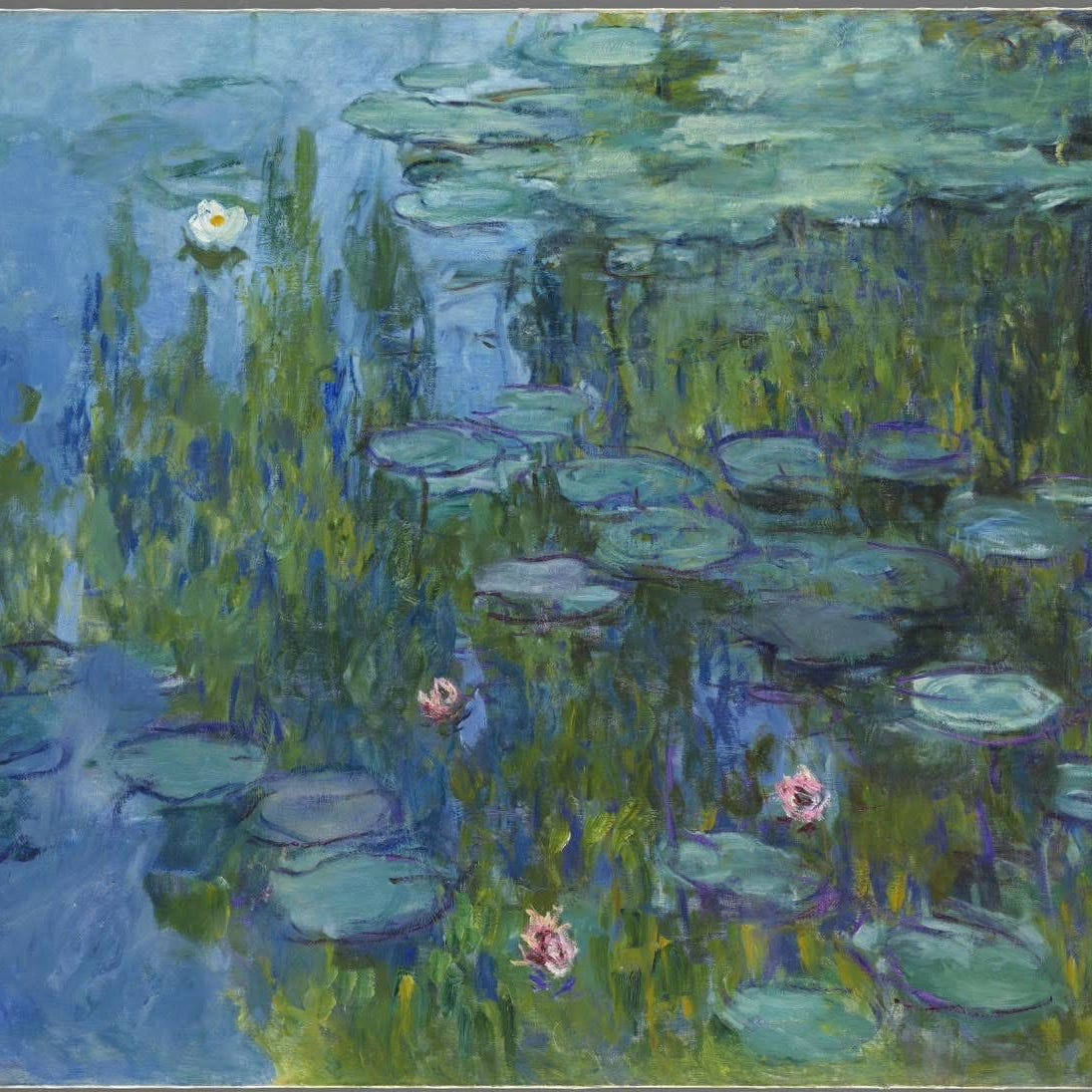 Desert Lilies and Flaming Lips