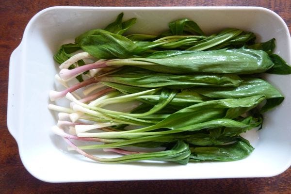 ramps