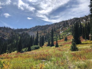 Screen Shot 2019-09-17 at 11.09.59 AM.png