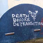 DEATH BEFORE DETRANSITION