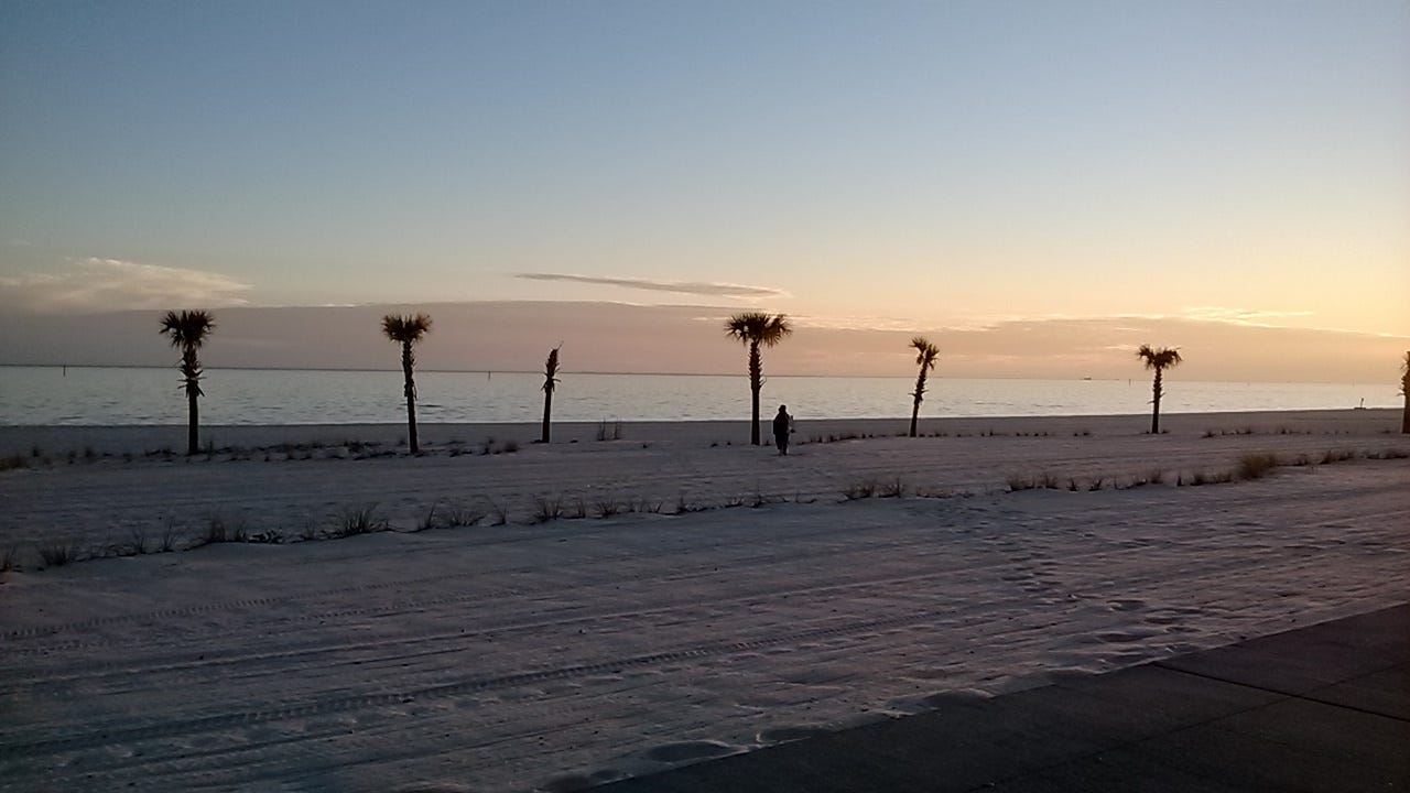 A beach with palm trees

Description automatically generated with low confidence