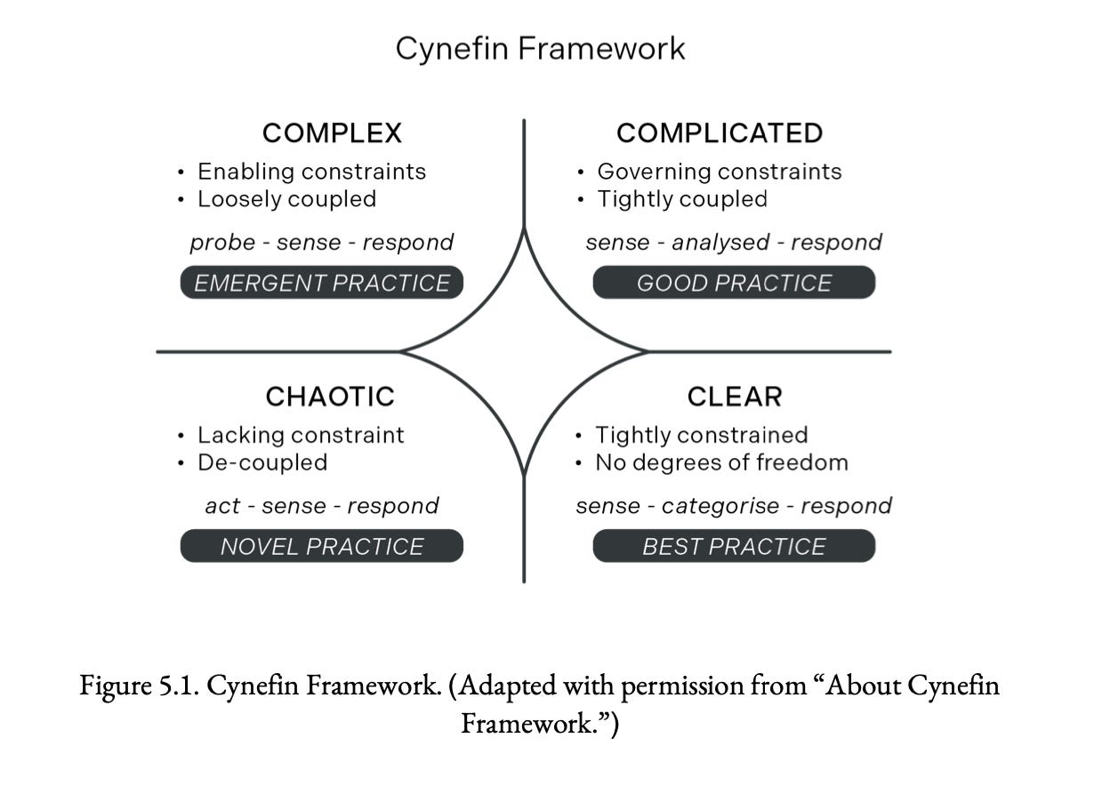 Day 10: Complex Systems - by Daniela Papi-Thornton