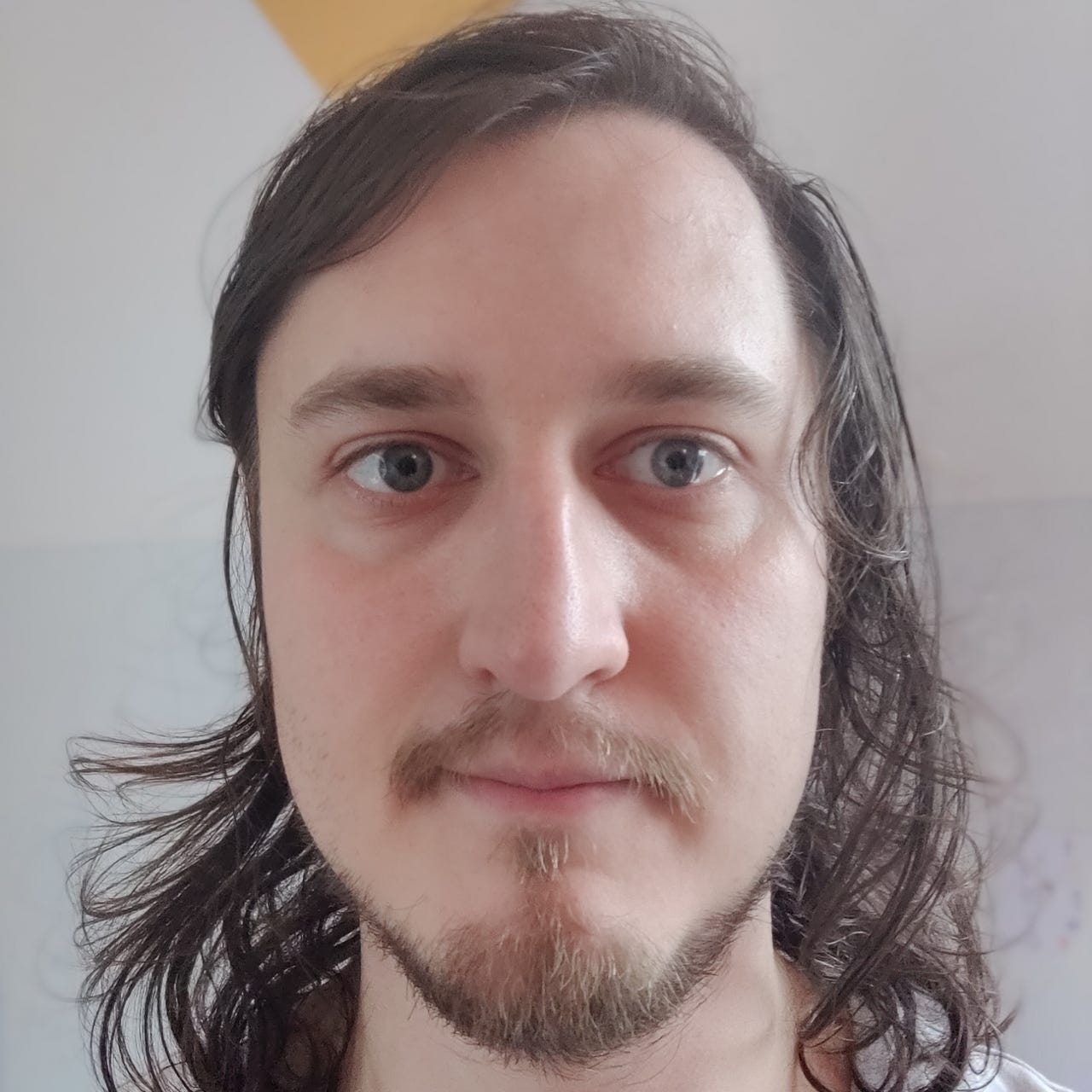 The Ambitious Cognition Project