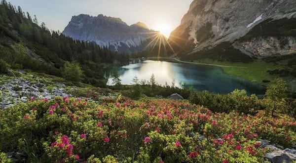 What does it mean to live according to nature?