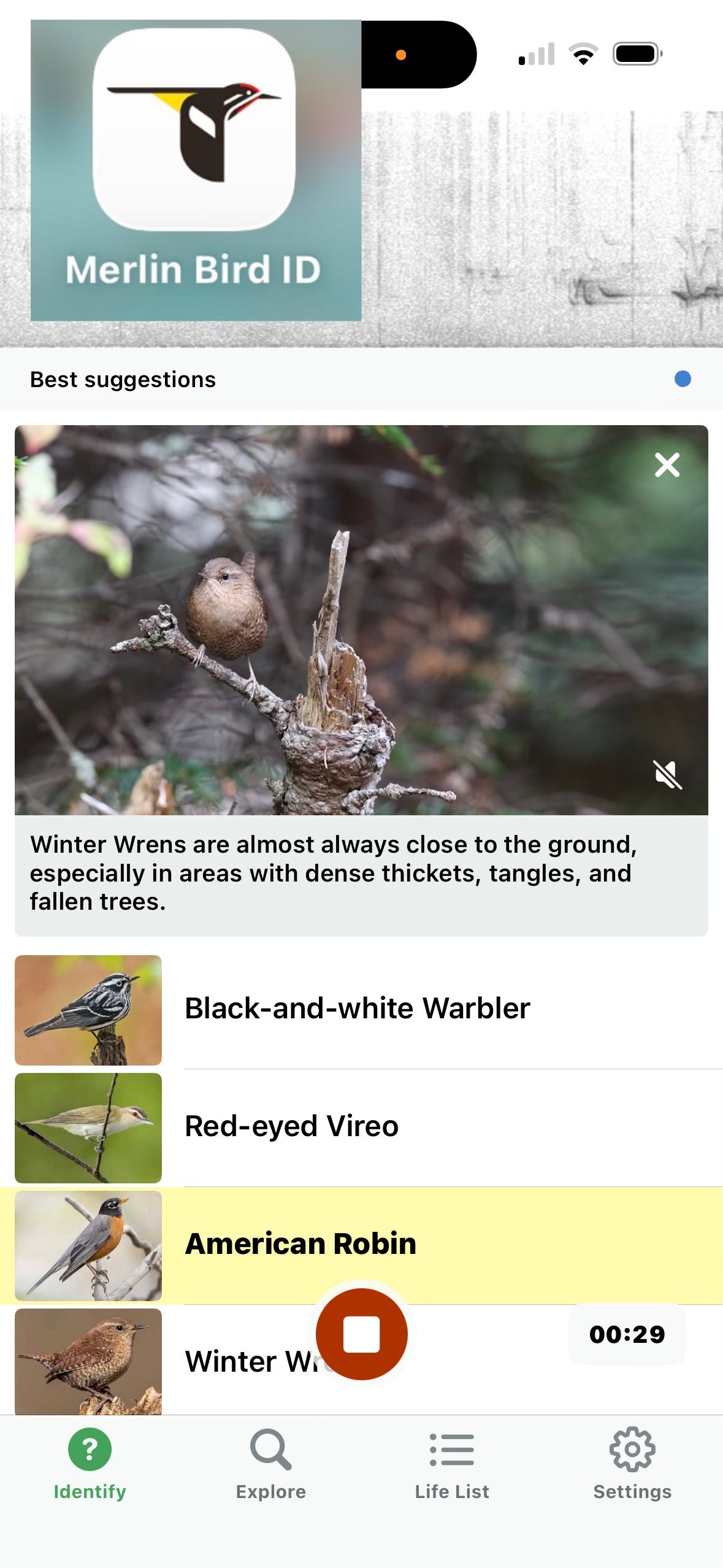 A screenshot shows the bird song identification feature of the Merlin Bid ID, with a screenshot of the logo in the corner. A screenshot shows the bird song identification feature of the Merlin Bid ID, with a screenshot of the logo in the corner.