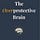 The Overprotective Brain Journal