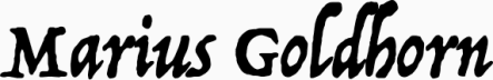 marius goldhorn